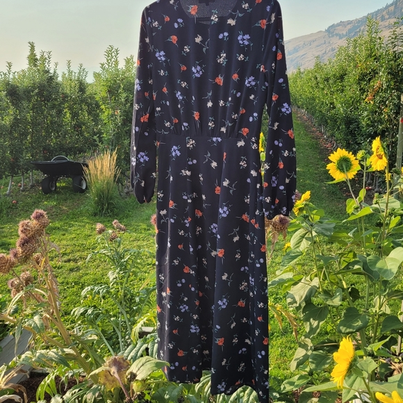 Rolee Dress size small navy flower - Picture 3 of 4